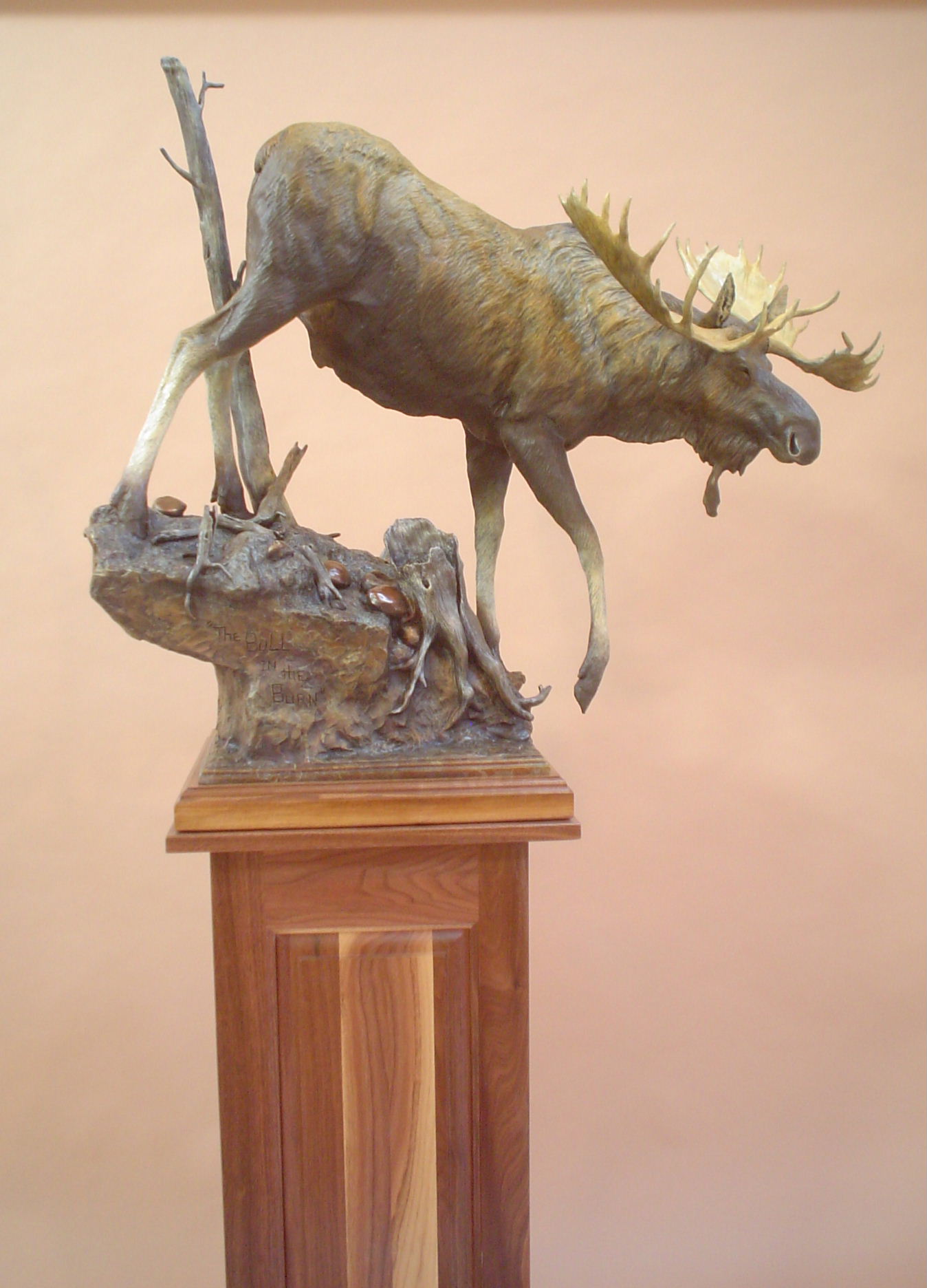 Bull in the Burn