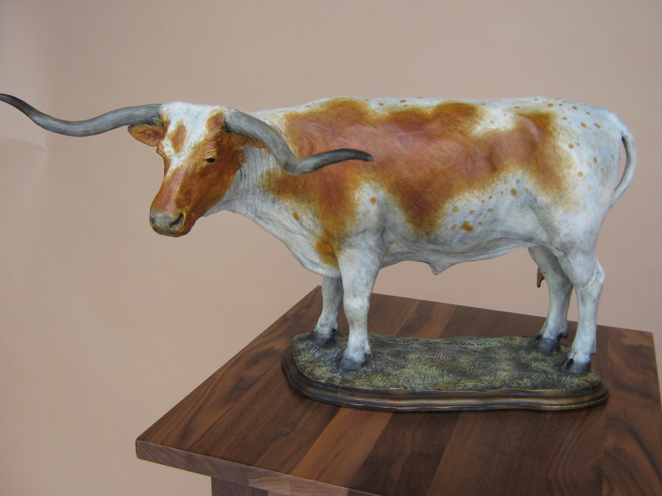 Texas Longhorn